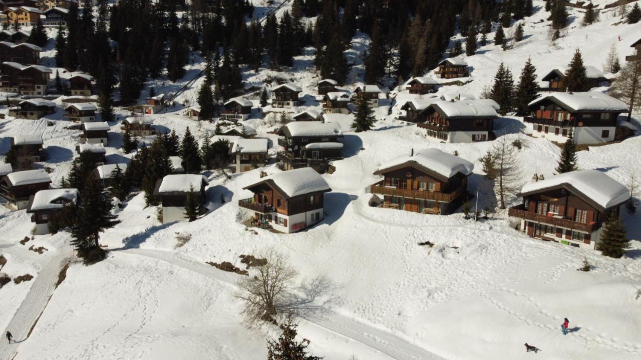 Chalet Foresta Bettmeralp Eksteriør billede