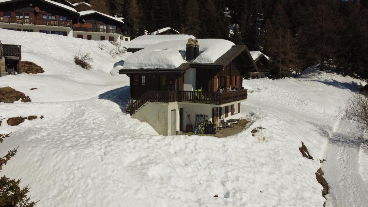 Chalet Foresta Bettmeralp Eksteriør billede
