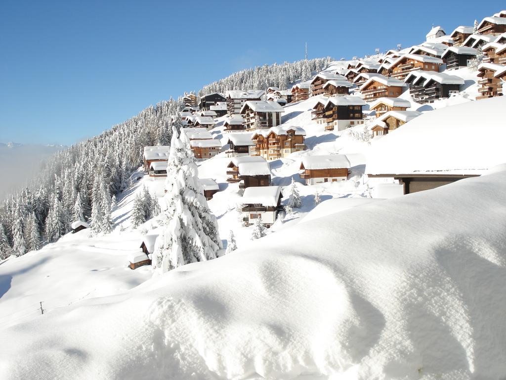 Chalet Foresta Bettmeralp Eksteriør billede