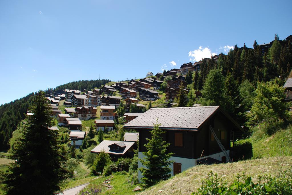 Chalet Foresta Bettmeralp Eksteriør billede