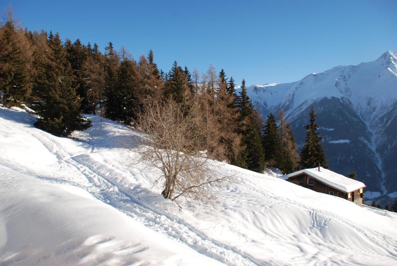 Chalet Foresta Bettmeralp Eksteriør billede